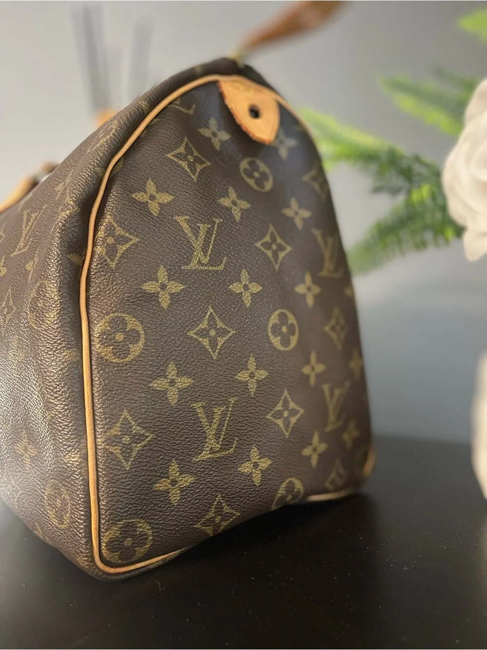Louis Vuitton iconic louis